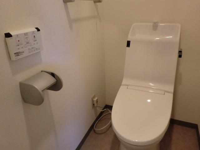 Toilet. With hot water cleaning function