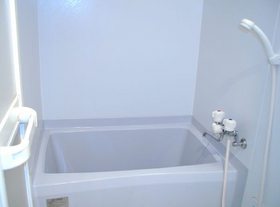 Bath. Bathroom (reference photograph)