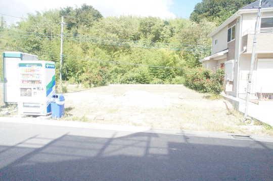 Local photos, including front road. Frontal road