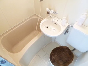 Bath. Bathroom (Model Room)