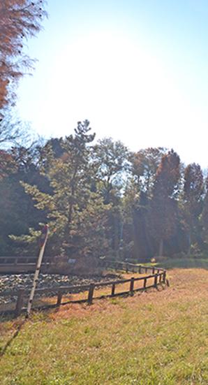  [Green was also close to fulfilling new town] The new stage is born in all 14 House in a 12-minute walk from the "North Hachioji" station. Local surrounding East Park Ishikawa (8-minute walk. Is a residential area that was blessed with green such as 600m)