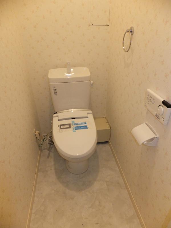 Toilet. Indoor (12 May 2013) Shooting