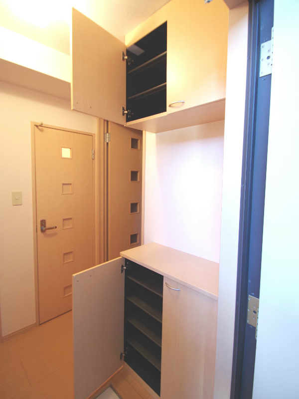 Entrance. Entrance shoe box