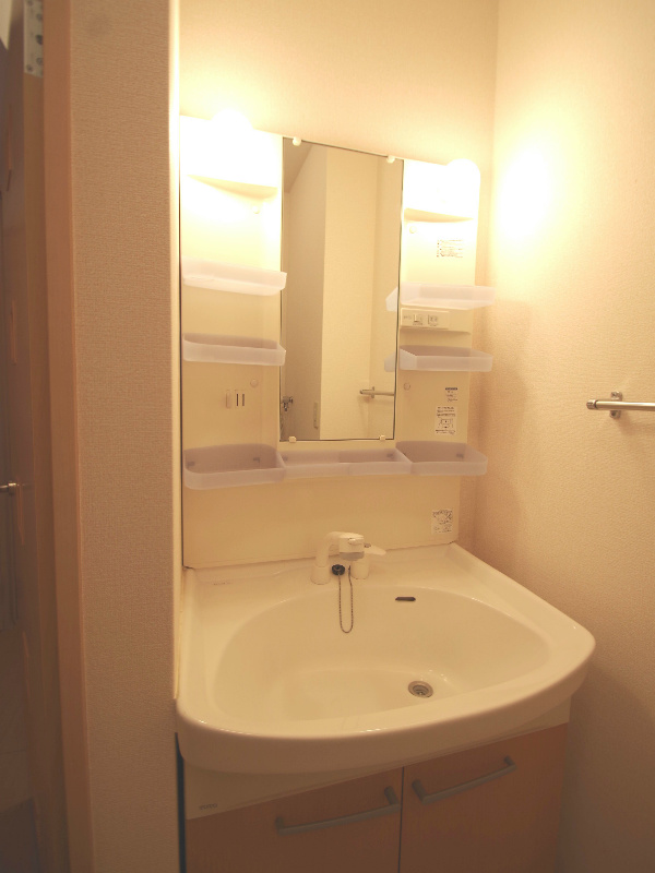 Washroom. Shampoo dresser