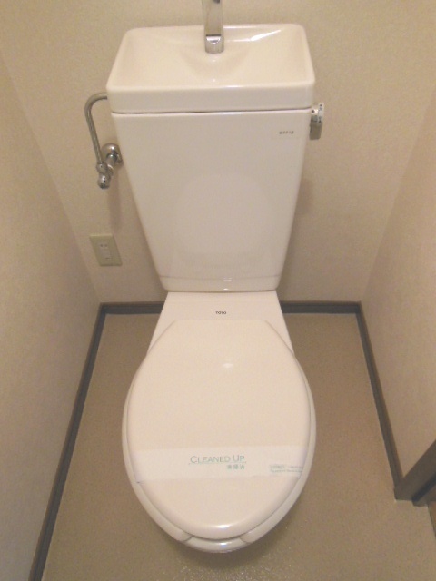 Toilet. ☆ tray ☆
