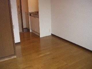 Living and room. Kino warmth overflowing flooring