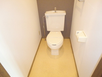 Toilet.  ☆ Clean your toilet ☆