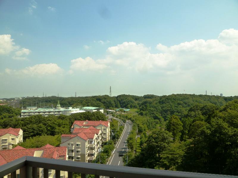 View photos from the dwelling unit. South direction of view