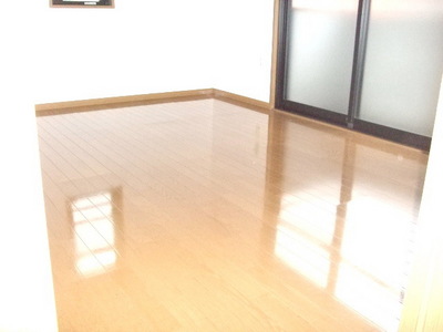 Other. ☆ Bright Western-style ☆