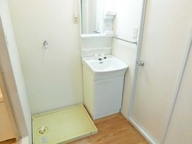 Washroom. Independent wash basin