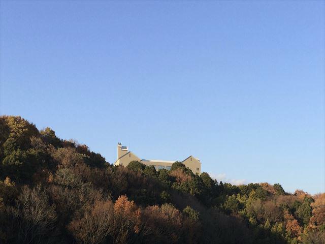 View photos from the dwelling unit