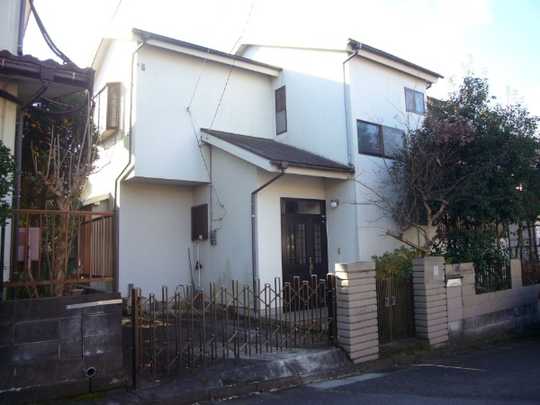 Local land photo. Appearance (1)