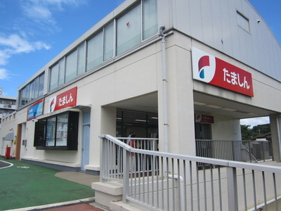 Other. 980m until Tama credit union (Other)