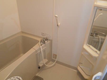 Bath. It is a beautiful bath with a mirror.