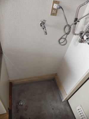 Entrance. Washing machine in the room