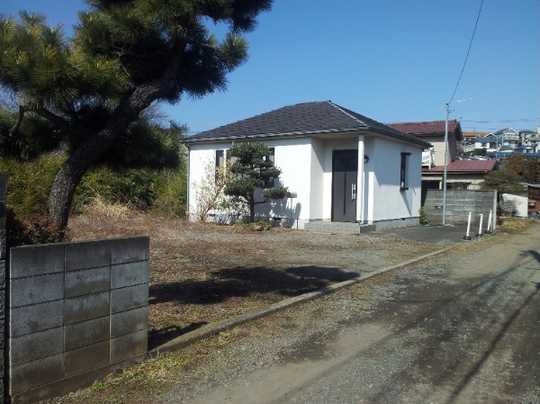 Local land photo. Appearance (1)