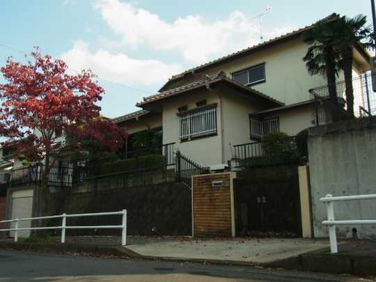 Local land photo. Appearance (1) 