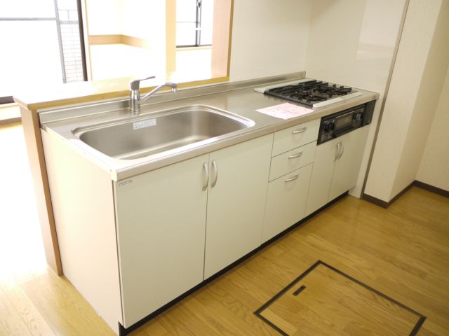 Kitchen. Women in happy system Kitchen