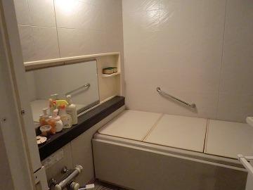 Bathroom. Handrails for bathrooms with