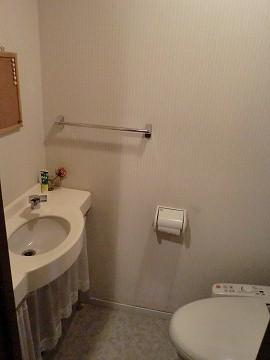 Toilet. Toilet with hand washing bowl