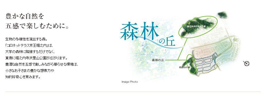 Other. Forest to produce a biodiversity. "Coronet terrace Keio Horinouchi" is, Not only adjacent to the forest of the university, Horinouchi Terasawa Satoyama park is spread on the east side. 