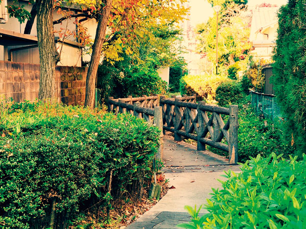 Surrounding environment. Refreshing green road (a 5-minute walk ・ About 370m)