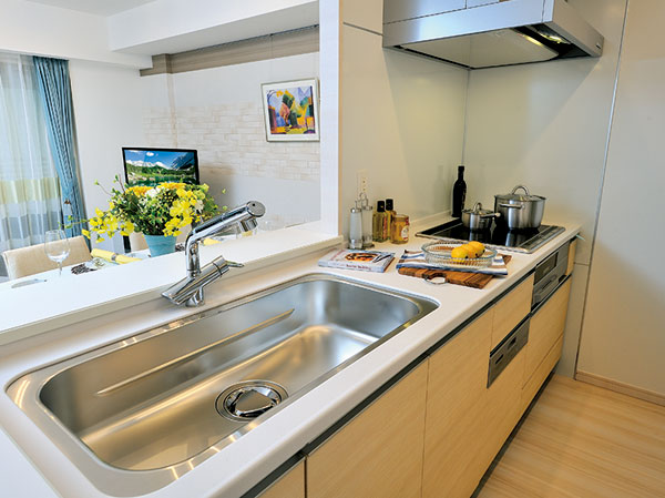 Room and equipment. Kitchen