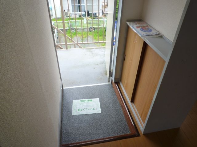 Entrance. Shoe rack with