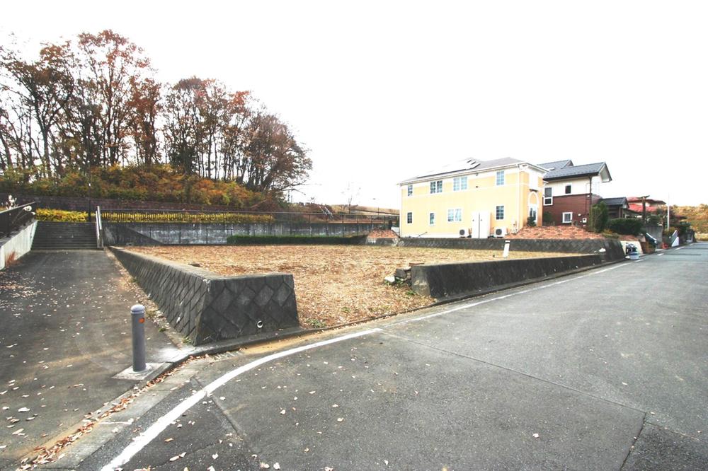 Local photos, including front road. Local (12 May 2013) Shooting