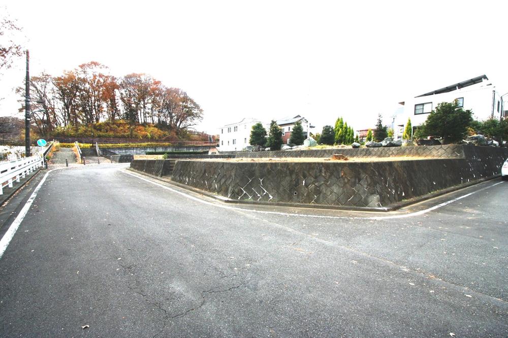 Other local. Local (12 May 2013) Shooting