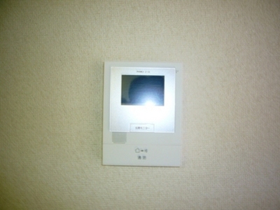 Security. With TV monitors door phone