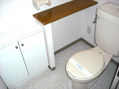 Toilet. Toilet is an important space!