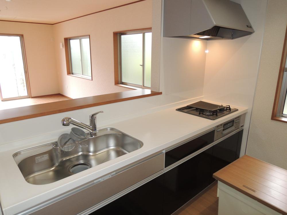 Kitchen. Indoor (11 May 2013) Shooting