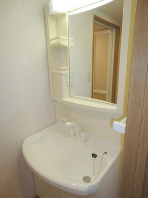 Washroom. Morning ・ A strong ally of the evening, Shampoo dresser