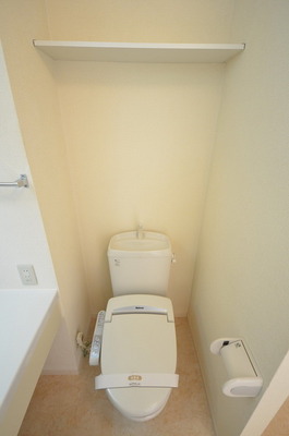 Toilet. Clean your toilet