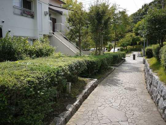 Local appearance photo