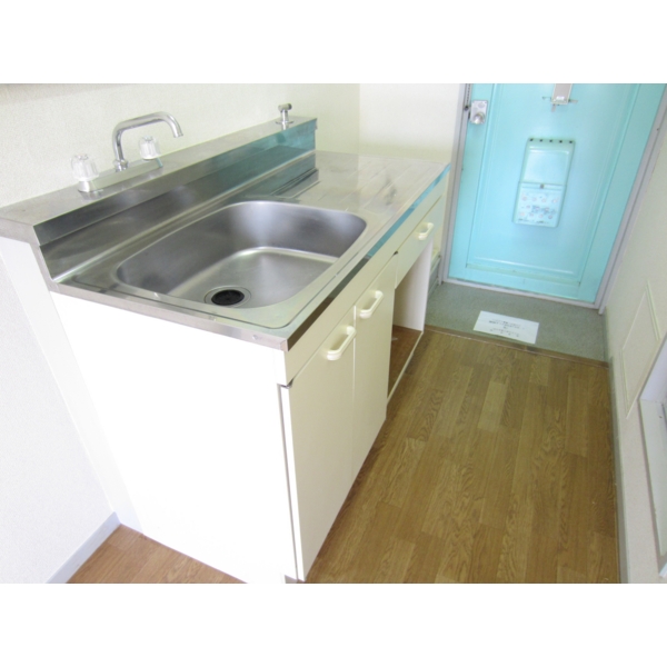 Kitchen. Sink of spread! 2 lot gas stoves Allowed!