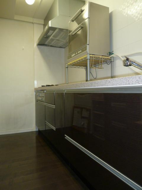 Other. Kitchen is the dark tone of the mirror finish. It is a good calm atmosphere