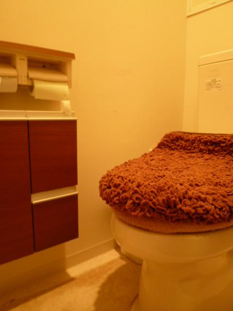 Other. Toilet is very convenient because it comes with a storage