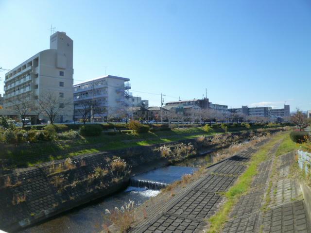 Other. There is Ooguri River near. And early spring is a very beautiful time that turns red and yellow trees there is also a sidewalk