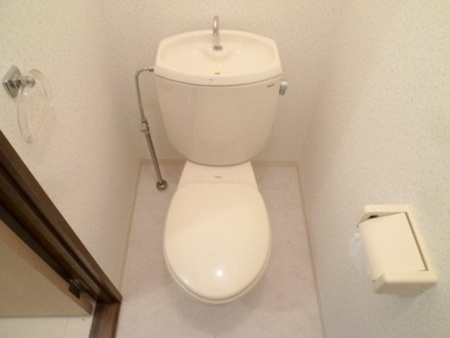 Toilet. Toilet