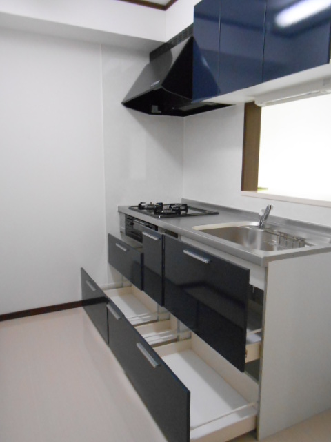 Kitchen. It is an image photo for the new construction. 