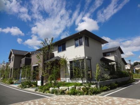 Local appearance photo. W79 No. land appearance photo