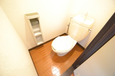 Other. Toilet