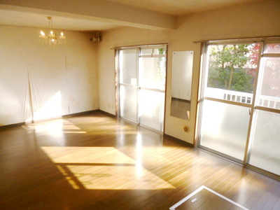 Living and room. Day is good