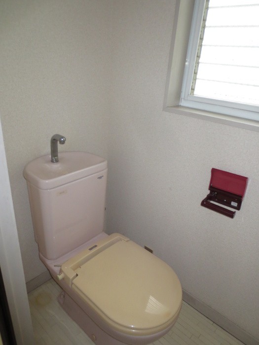 Toilet. Flush toilet