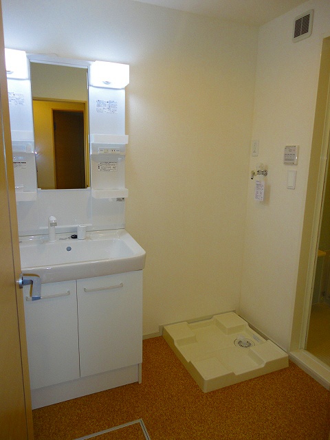 Washroom. Convenient shampoo dresser in the morning