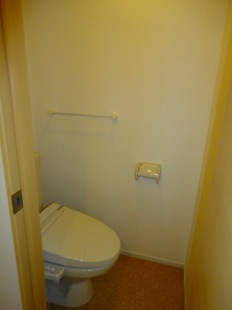 Washroom. With certain and happy bidet function