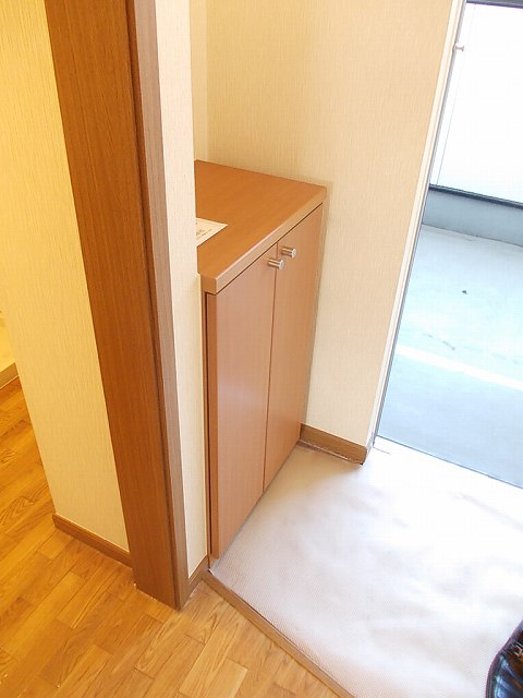 Entrance. There entrance storage, Entrance also is spread. 