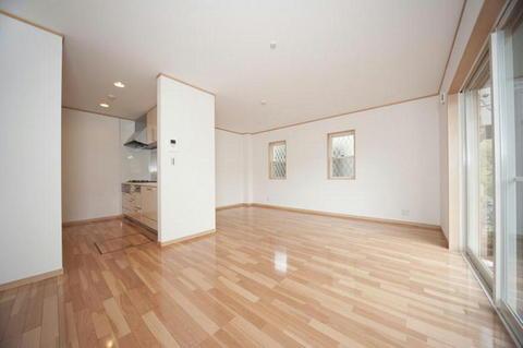 Living. Same specifications living Joinery door interior high door specification